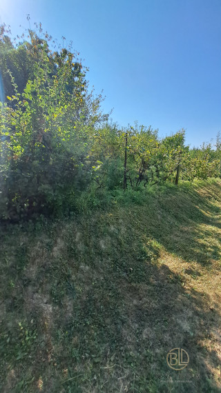 Možno práve pre Teba - záhradka s chatkou v TRENČÍNE