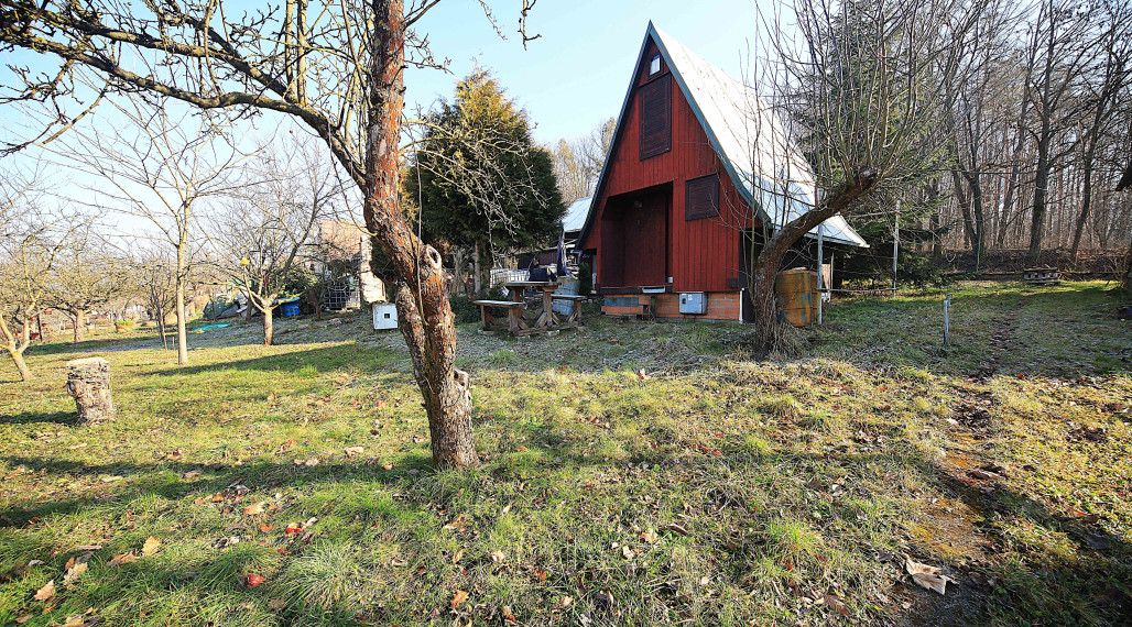 Na predaj útulná chatka v Dubnici nad Váhom – výnimočná ponuka!