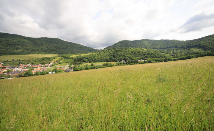 Na predaj veľký slnečný pozemok v tichom prostredí – 5821 m², ideálny na rekreáciu alebo investíciu do budúcnosti - fotografia 3