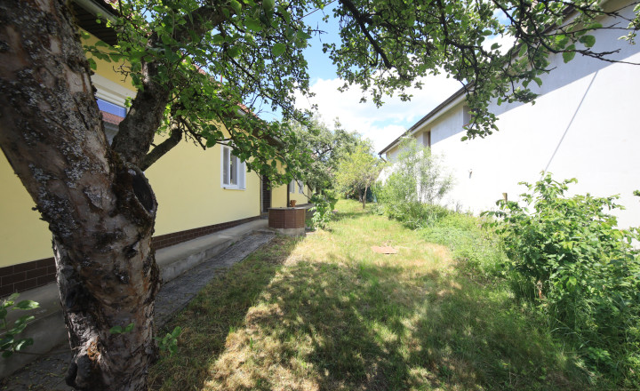 Na predaj: Rodinný dom po čiastočných rekonštrukciách s veľkým potenciálom v obci Mikušovce - fotografia 14