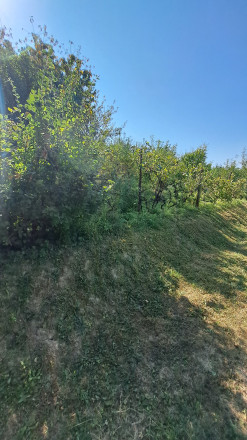 Možno práve pre Teba - záhradka s chatkou v TRENČÍNE - fotografia 8