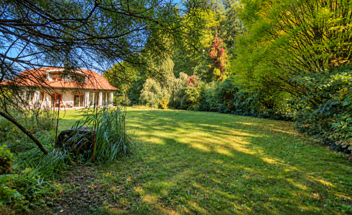 Rodinný dom na predaj Ilava – Skala | pozemok 1 430 m², wellness zóna, zimná záhrada a dvojgaráž - fotografia 2